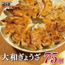 【ふるさと納税】餃子 大和ぎょうざ 1パック（15個入）計75個 〈奈良特産ヤマトポークと季節の大和野菜を使った餃子〉冷凍 野菜 お弁当 やまと餃子 大和ギョーザ ギフト プレゼント 贈答品 お礼の品 宅飲み 飲み会 パーティー なら 奈良県 奈良市