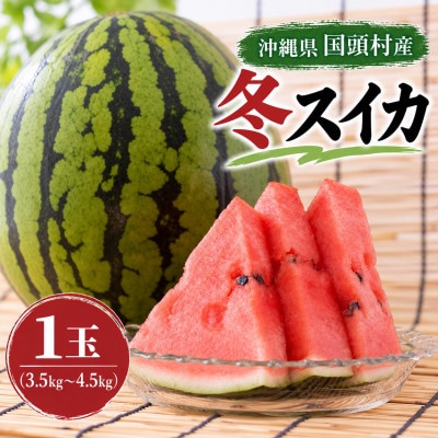 【2027年2月中旬から順次発送】島袋さんの冬スイカ 1玉(3.5～4.5kg)【配送不可地域：離島】