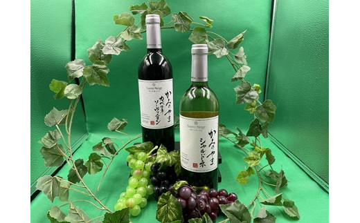 サントネージュかみのやま産葡萄　2本セット　0141-2407
