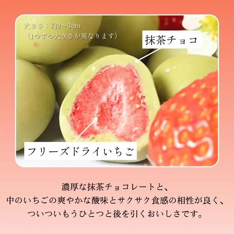 抹茶いちごちょこ 144g 抹茶 チョコ チョコレート 京都