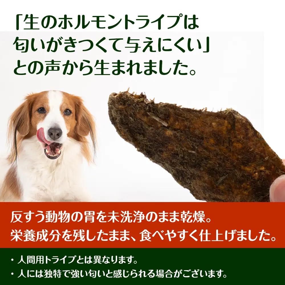 乾燥ホルモントライプ 20g×2袋