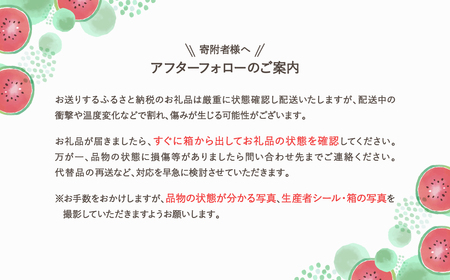 先行予約 尾花沢産すいか 3Lサイズ 約8kg×2玉 7月中旬～8月中旬頃発送 令和6年産 2024年産 農産加工 ※沖縄・離島への配送不可 nk-su3xx2