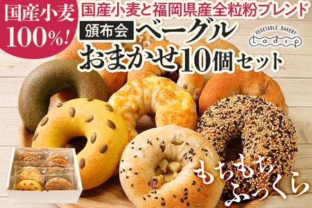 ［定期便］ベーグルおまかせ10個セット（月1回／全3回）