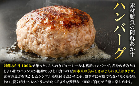 阿蘇あか牛丼1人前と阿蘇あか牛ハンバーグ2個 セット 株式会社LARKS《30日以内に出荷予定(土日祝除く)》肉 牛肉 あか牛 ローストビーフ ハンバーグ 冷凍 贈り物 名物 熊本県 送料無料