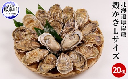 厚岸産殻付き牡蠣 Lサイズ20個 生食用 かき 牡蠣