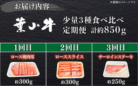 【全3回定期便】葉山牛 少量3種食べ比べセット 牛肉(ロース・ローススライス・サーロインステーキ)[ASBD024]