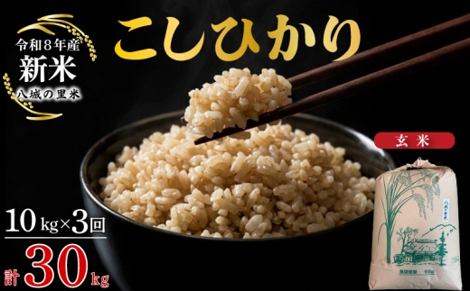 【令和8年産先行予約】【定期便 3ヶ月】こしひかり 玄米 10kg 計30kg