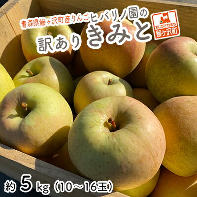 【ふるさと納税】りんご 訳あり 青森 きみと リンゴ 約 5kg （10～16玉） 青森県 鰺ヶ沢町産 ヒバリノ園 フルーツ 果物 林檎 青森県産 2024 ※オンライン決済のみ 　お届け：2025年11月15日～11月25日