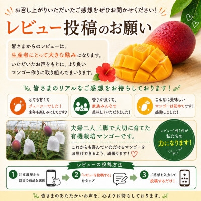 【2026年7月上旬から順次発送・有機JAS認証】オーガニックマンゴー2kg(4～5玉)【配送不可地域：離島】