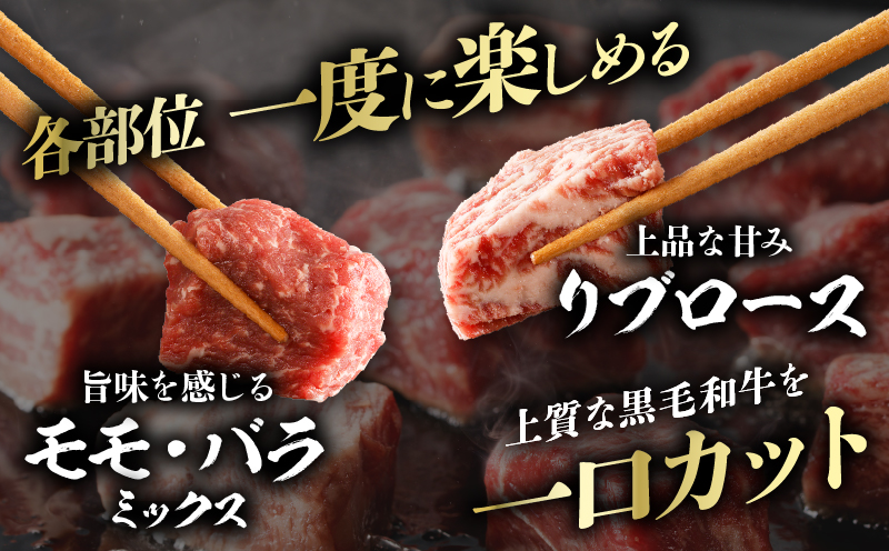 【2週間以内発送】≪訳あり≫宮崎県産黒毛和牛(経産牛)3種サイコロステーキ(合計1kg) 肉 牛 牛肉 国産_T025-017
