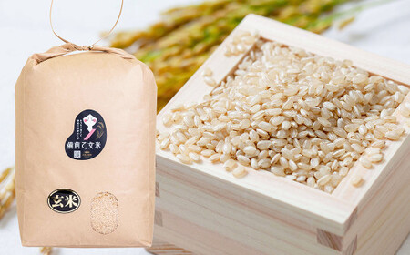 備前乙女米 玄米 10kg×2袋（計約20kg）【2026年9月下旬迄発送予定】 ／ お米 米 おこめ こめ コメ ご飯 ライス モチモチ 石原果樹園 岡山県 美咲町