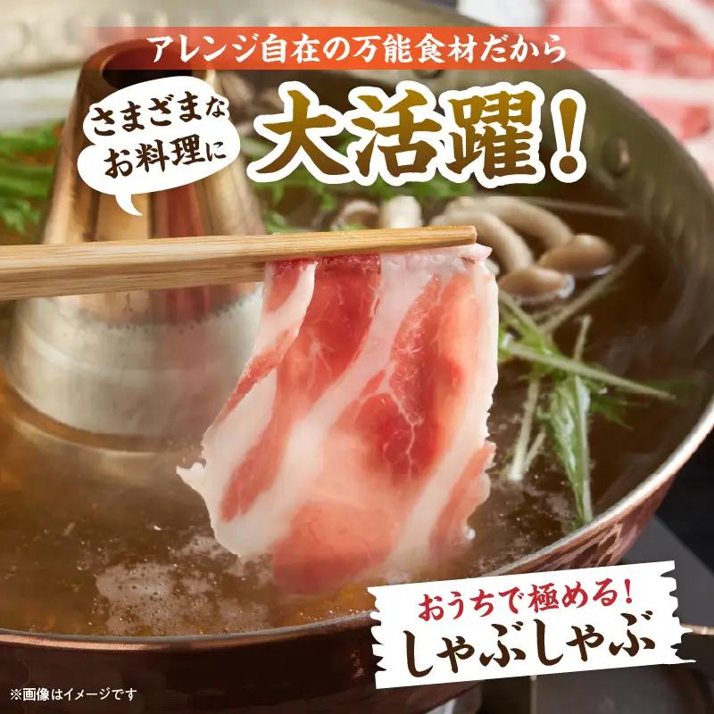 豚肉 鶏肉 食べ比べ セット 合計5kg 国産_DC32-25