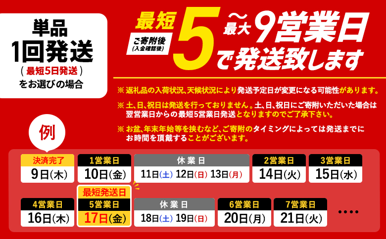 サッポロ  ヱビスビール  48本（350ml×24本×2箱）【300060822】