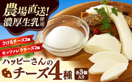 ハッピーさんのチーズ4種セット各3個入り 生乳 食べ比べ セット 詰め合わせ アソート