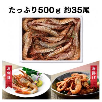ふるさと納税 若狭町 越前ガラエビ　500g(約35-40尾) |  | 01