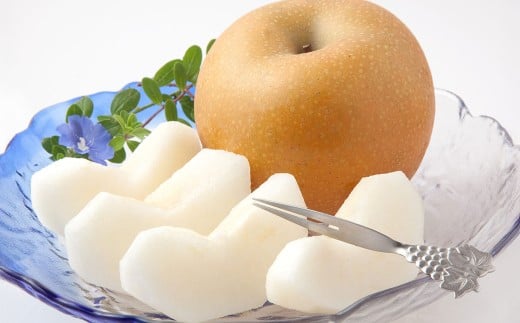 秋月梨 約5kg （6～16玉） なし ナシ 梨 くだもの 果物 果実 フルーツ 秋月 贈答用 【2025年8月下旬～9月下旬迄発送予定】