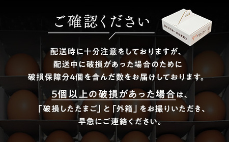 半年間定期便！御殿たまご24個入（破損保障含む）モウルドパック月2回（12・27日）コース ※北海道・沖縄・離島への配送不可