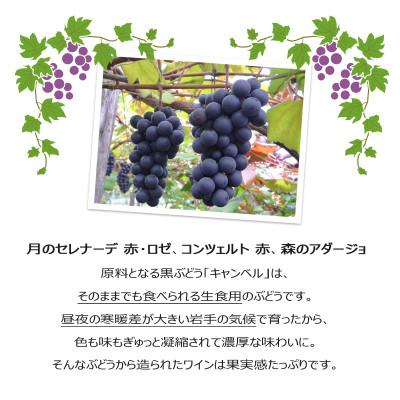 ふるさと納税 花巻市 ハーフサイズ24本入アソート |  | 01