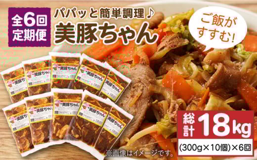【全6回定期便】 美豚ちゃん 300g×10個 セット 【長崎フードサービス】 [PEL015] 簡単 調理 豚肉 豚 レトルト パック 小分け 国産 焼肉 加工 肉 レトルト 簡単 おかず
