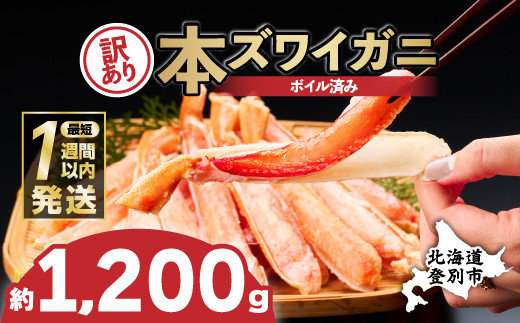 【順次出荷】訳あり 冷凍 ボイル ずわいがに 足 1200g ズワイガニ ハーフポーション | ギフト 2025