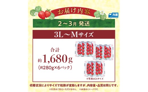 【2027年2月～3月発送】完熟「古都華」奈良ブランドいちご3L～Mサイズ6パック　先行予約 ことか 甘い 糖度 濃い 濃厚 果汁 香り 朝摘み いちご イチゴ 苺 フルーツ 果物 くだもの ご褒美 ごほうび 贈答 贈り物 ギフト プレゼント 冷蔵 奈良県 生駒市 送料無料