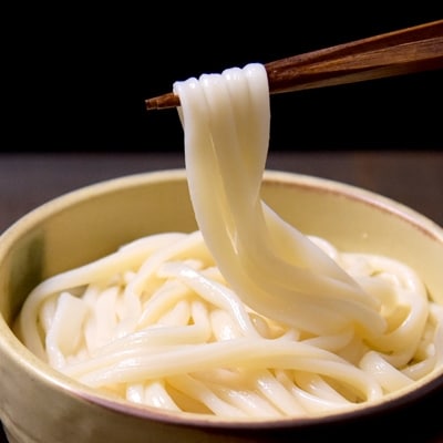 和泉手延べ麺　たつみ麺店の半生もどし長うどん(18人前)【1133583】
