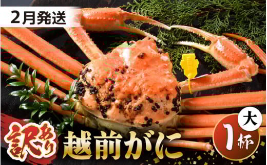 【先行予約】【訳あり】 茹で「越前ズワイ蟹」 大 1杯 脚折れ 【2026年2月発送分】【わけあり ワケアリ カニ かに 蟹 越前ガニ 越前蟹 ずわいがに ズワイガニ ズワイ ボイルガニ 姿 ボイル 冬の味覚 冷蔵 国産 県産】 [I-1401_02]