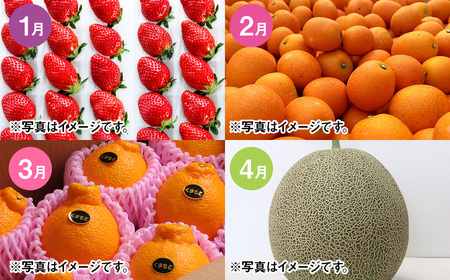 【12カ月定期便】熊本フルーツ定期便12カ月｜果物 くだもの 苺 いちご みかん 柑橘 メロン すいか 桃 ぶどう 梨 柿 みかんジュース