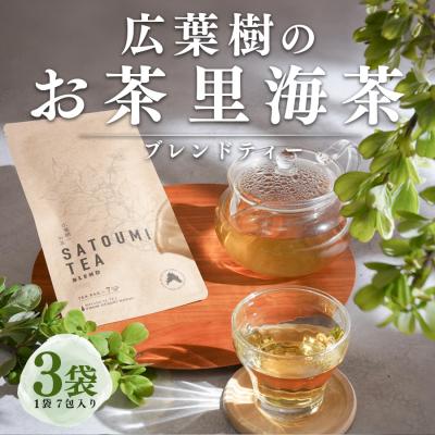 ふるさと納税 大月町 広葉樹のお茶 里海茶 ブレンド 3袋 21パック入り カフェインフリー 自然栽培 野草茶 高知県 大