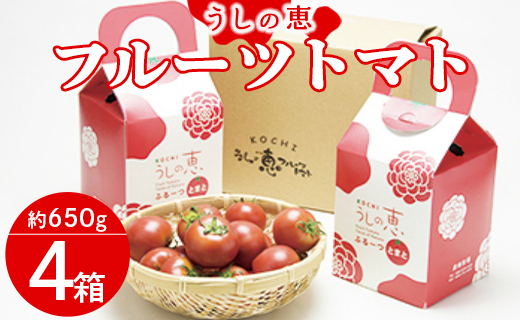 うしの恵 フルーツトマト4箱(650g×4) - 野菜 フルーツ トマト ギフト 料理 アレンジ サラダ 完熟 リコピン 甘い あまい フレッシュ さっぱり 酸味 プチギフト 贈答 お礼 御礼 美味しい おいしい 国産 高知県 香南市 mj-0032