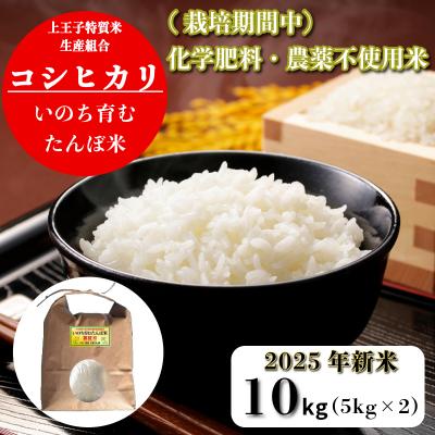 ふるさと納税 小松島市 【令和7年産新米】コシヒカリ 米 10kg 栽培期間中化学肥料・農薬不使用米