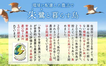 【令和５年度産】佐渡羽茂産コシヒカリ 5kg×2袋セット