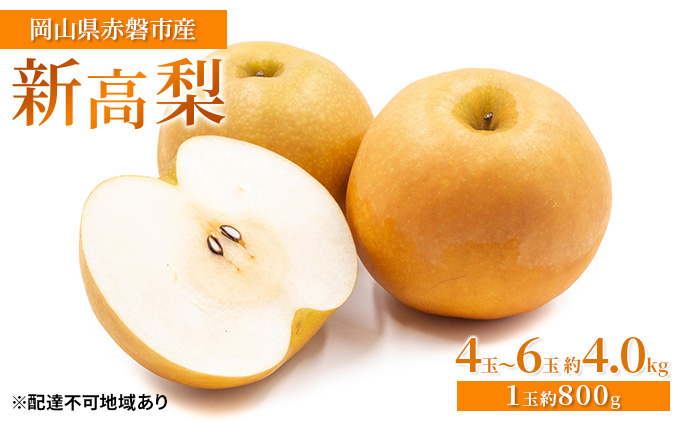梨 2026年 先行予約 新高梨 4玉～6玉 約4.0kg（1玉約800g）岡山県赤磐市産【配達不可：離島】 なし フルーツ 果物 ナシ 果物類 
