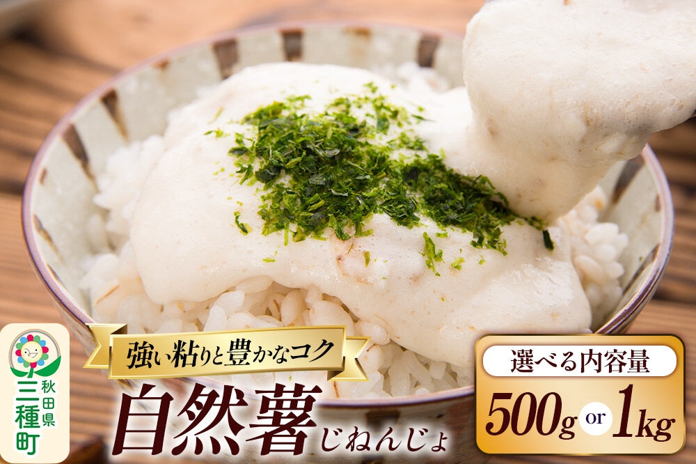 
                  自然薯【選べる内容量 500g／1kg】秋田県山本郡三種町産 山芋 [山芋 自然薯 とろろ 国産]
                
