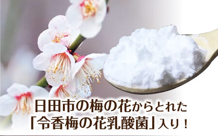 発酵ジュースのもと〈日田うめ〉 110ml×5本 ジュース うめ ウメ 梅 果実飲料 [ARDA004]
