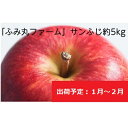 【ふるさと納税】1月～2月発送 ふみ丸ファーム 最高等級「特選」 サンふじ 約5kg 【弘前市産・青森りんご】　果物類・林檎・りんご・リンゴ　お届け：2025年1月6日～2025年2月28日