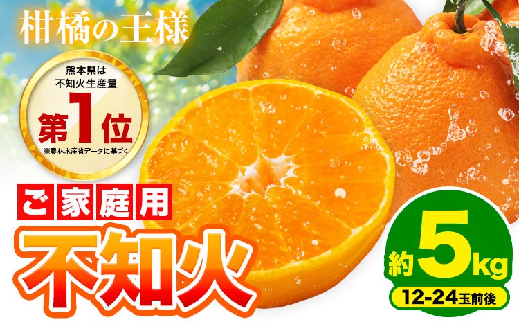 
                  不知火 デコみかん ( デコポン と同品種 ) ご家庭用 訳あり 熊本県産 ( 苓北町産含む )約5kg (12-24玉前後) 柑橘 《2月上旬-3月末頃出荷》 みかん フルーツ 不知火 訳アリ でこみかん 果物
                