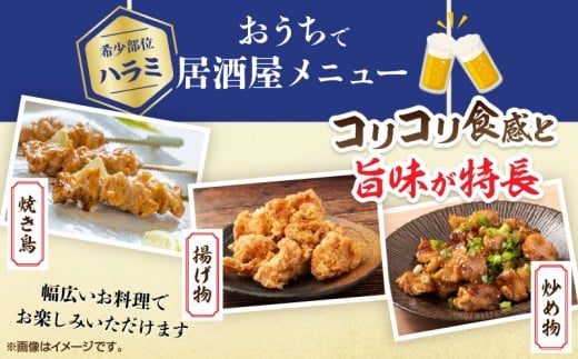 希少部位 宮崎県産 若鶏 ハラミ 計3kg 鶏肉 とり 鳥 国産 小分け 真空パック おかず お弁当 おつまみ 食品 チキン 簡単調理 鶏飯 焼き鳥 焼肉 炒め物 揚げ物 唐揚げ チキンカレー おすす