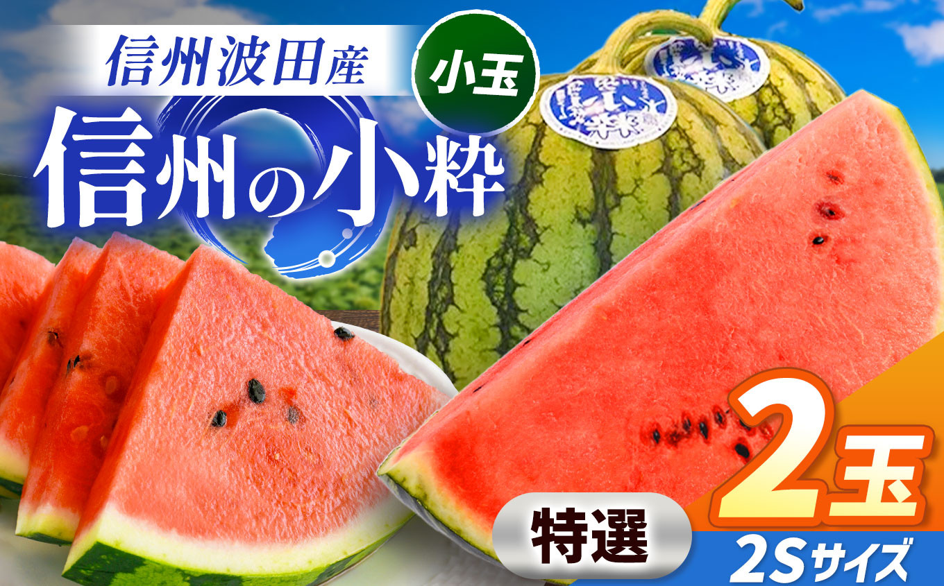 
            【先行予約】信州波田産 小玉スイカ！信州の小粋 【特選】 2玉 2Sサイズ｜ふるさと納税 長野県 信州 松本 果物 フルーツ すいか スイカ 西瓜 贈答 季節限定 甘い くだもの ふるーつ
          