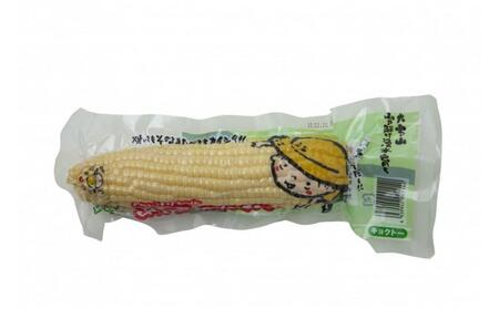 白と黄色のとうもろこし10本セット（真空パック）【 白いとうもろこし 人気 糖度 野菜 スイートコーン バーベキュー BBQ コーン お取り寄せ 旭川市 北海道 】_04804