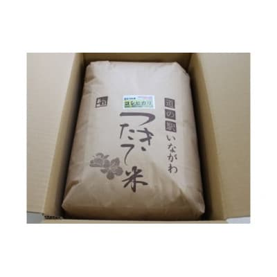 【毎月定期便】猪名川町のお米(コシヒカリ20kg)玄米×全2回【4085216】
