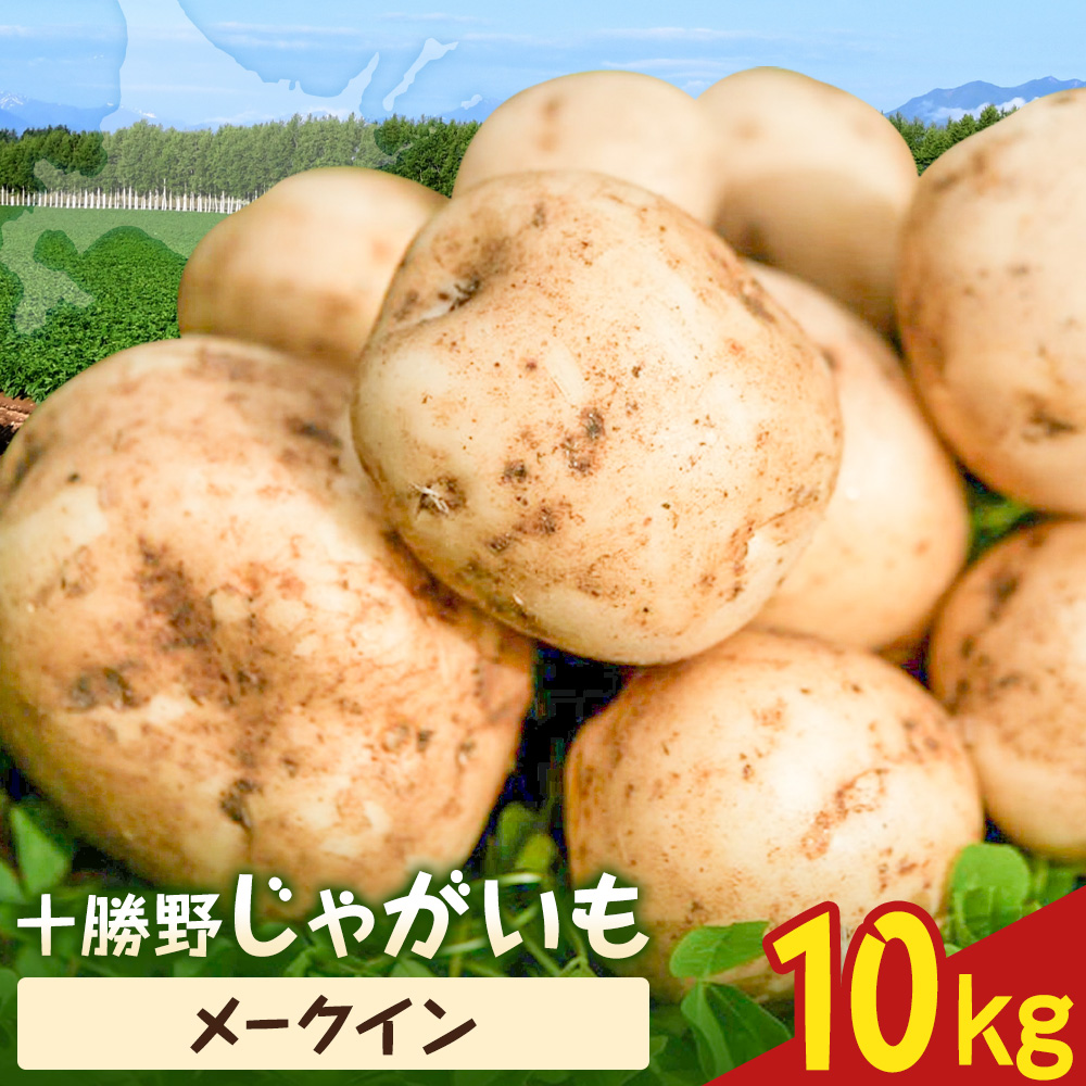 【2026年秋出荷】先行予約 十勝野じゃがいも メークイン 10kg 按田農場《2026年10月中旬-11月末頃出荷》北海道 豊頃町 十勝野 じゃがいも 農家直送 数量限定---toyokoro_ad
