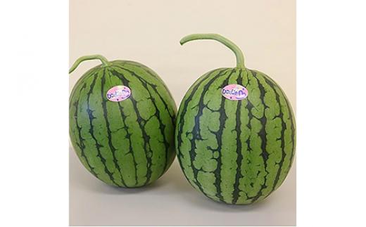 
                  とっても甘い！食べきりサイズの小玉スイカ ひとりじめ 2玉入 ※2025年5月中旬～6月下旬頃に順次発送予定
                