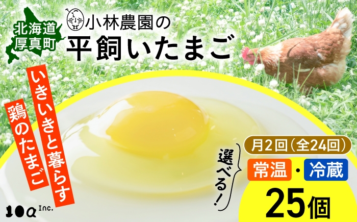 
                  【月2回・全24回定期便】小林農園の平飼いたまご・無投薬 25個《厚真町》【テンアール株式会社】 有精卵 卵 鶏卵 玉子 生卵 平飼い 北海道 定期便 [AXAN028]
                