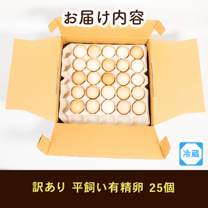 訳あり B級卵 たまご 25個 有精卵 ご飯 【卵】
