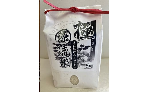 極源流米 計15kg（5kg×3袋） 令和7年度産 元気つくし お米 米