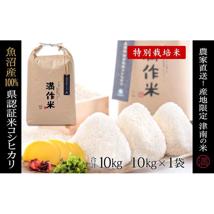 【ふるさと納税】【2025年産新米】県認証米魚沼産コシヒカリ10kg(10kg×1袋) 選べる配送回数 産地限定！農家直送