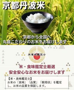 京都丹波産 こしひかり 5kg ※米食味鑑定士厳選 ※精米したてをお届け【京都伏見のお米問屋が精米】《米 令和5年産》※沖縄本島・離島への配送不可 大人気お米 人気お米 お米 国産お米 お米 京都府産