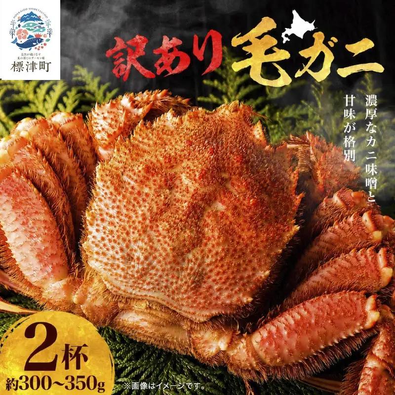 【訳あり】毛ガニ 300g~350g×2杯 毛ガニ 【AF】