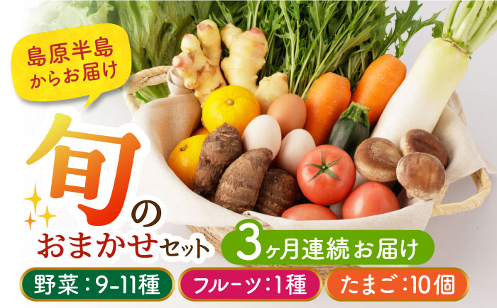 
【3か月定期便】野菜・フルーツ・卵 旬のおまかせセット 長崎県/舞岳の里 [42ACAC004] 島原 雲仙 南島原 直送 新鮮 国産 季節の野菜
